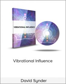 David Synder – Vibrational Influence