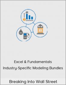 Breaking Into Wall Street – Excel & Fundamentals + Industry-Specific Modeling Bundles