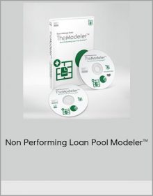 Non Performing Loan Pool Modeler™