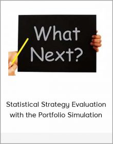 Statistical Strategy Evaluation with the Portfolio Simulation