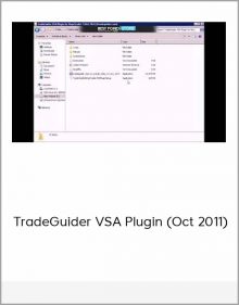 TradeGuider VSA Plugin (Oct 2011)