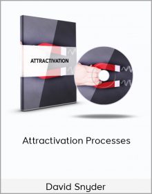 David Snyder – Attractivation Processes