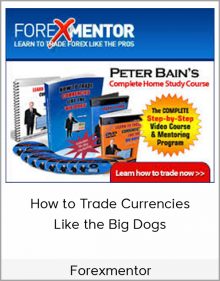 Forexmentor – How to Trade Currencies Like the Big Dogs