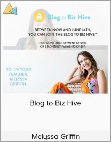 Melyssa Griffin – Blog to Biz Hive