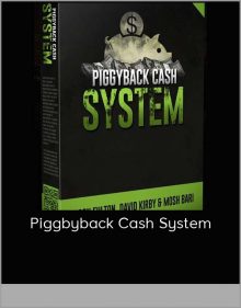 Piggbyback Cash System