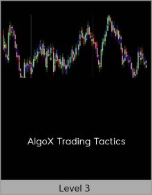 Level 3 – AlgoX Trading Tactics