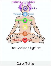 Carol Tuttle - The Chakra7 System