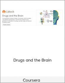 Coursera - Drugs and the Brain