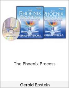 Gerald Epstein - The Phoenix Process