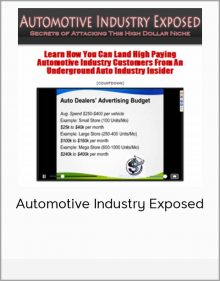 Automotive Industry Exposed