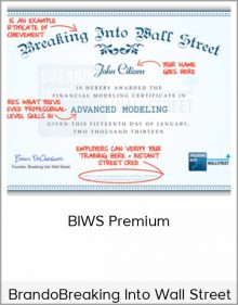 Breaking into Wall Street – BIWS Premium