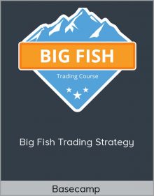 Basecamp – Big Fish Trading Strategy