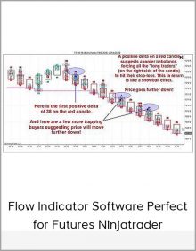 Flow Indicator Software Perfect for Futures Ninjatrader