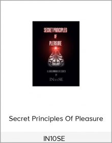 IN10SE - Secret Principles Of Pleasure