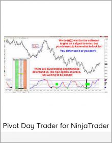 Pivot Day Trader for NinjaTrader