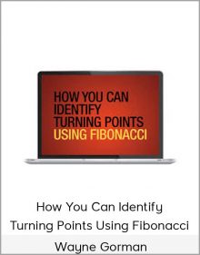 Wayne Gorman - How You Can Identify Turning Points Using Fibonacci