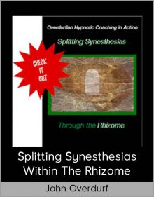 John Overdurf – Splitting Synesthesias within the Rhizome