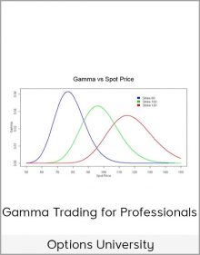 Options University – Gamma Trading for Professionals