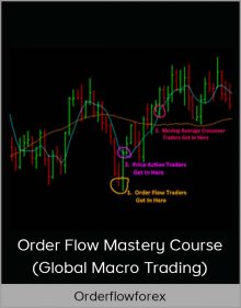 Orderflowforex – Order Flow Mastery Course (Global Macro Trading)