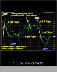 5 Star Trend Profit