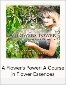 A Flower's Power A Course In Flower Essences