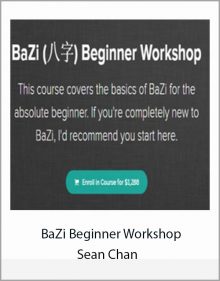 BaZi Beginner Workshop by Sean Chan