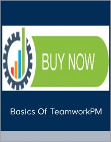 This training procedure has been used in our company as well as many of our clients’ companies. The training will cover all the basics needed to help you and your team members successfully learn to navigate and use TeamworkPM