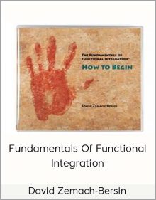 David Zemach-Bersin - Fundamentals Of Functional Integration