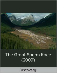 Discovery – The Great Sperm Race(2009)