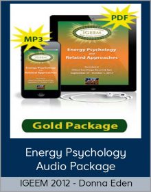 Energy Psychology Audio Package from IGEEM 2012 from Donna Eden