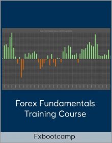 Fxbootcamp – Forex Fundamentals Training Course