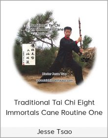 Jesse Tsao - Traditional Tai Chi Eight Immortals Cane Routine One