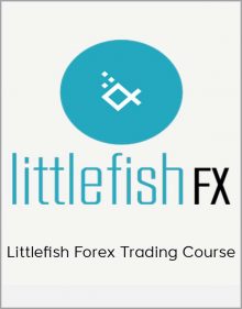 Littlefish Forex Trading Course