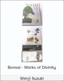 Shinji Suzuki - Bonsai - Works of Divinity