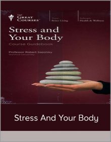 Stress and Your Body