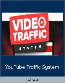 Tal Gur - YouTube Traffic System