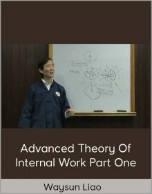 Waysun Liao – Advanced Theory of Internal Work Part One