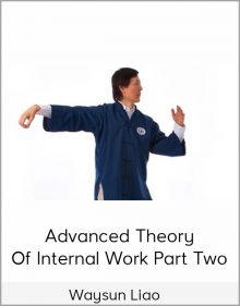 Waysun Liao – Advanced Theory of Internal Work Part Two