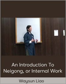 Waysun Liao – An Introduction to Neigong, or Internal Work