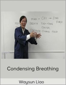 Waysun Liao – Condensing Breathing