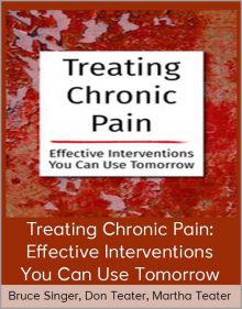 Bruce Singer, Don Teater, Martha Teater - Treating Chronic Pain Effective Interventions You Can Use Tomorrow