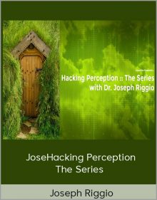 Joseph Riggio – Hacking Perception – The Series