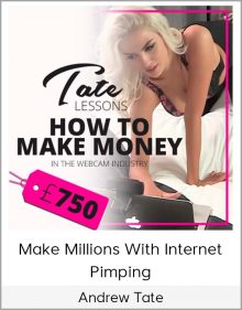 Andrew Tate - Make Millions with Internet Pimping