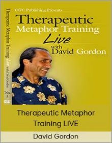 David Gordon - Therapeutic Metaphor Training LIVE