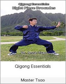 Master Tsao - Qigong Essentials