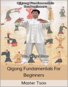 Master Tsao - Qigong Fundamentals For Beginners