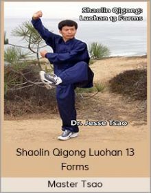 Master Tsao - Shaolin Qigong Luohan 13 Forms