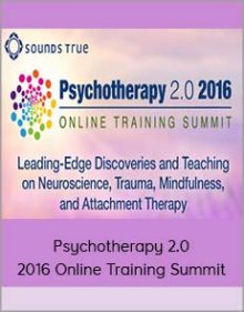 Psychotherapy 2.0 2016 Online Training Summit