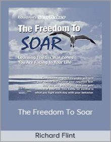 Richard Flint - The Freedom To Soar