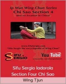 Wing Tjun - Sifu Sergio Iadorola - Section Four Chi Sao